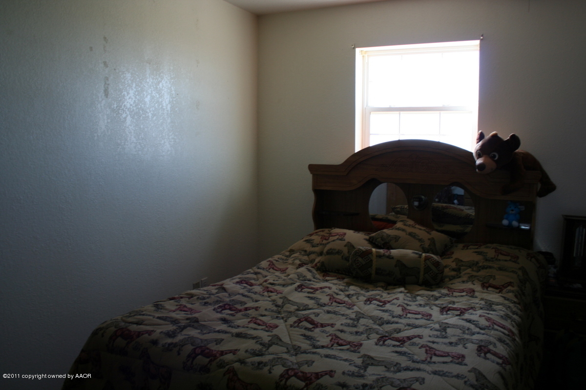 9751 High Plains Road Fritch, TX 79036 - Photo 8 of 23 IMG_2347
