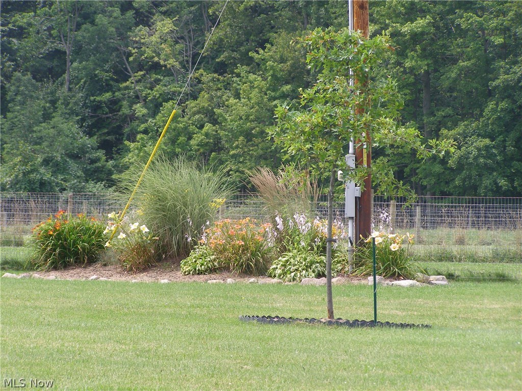 13260 Mayes Road Homerville, OH 44235 - Photo 23 of 26 Gallery Image 23