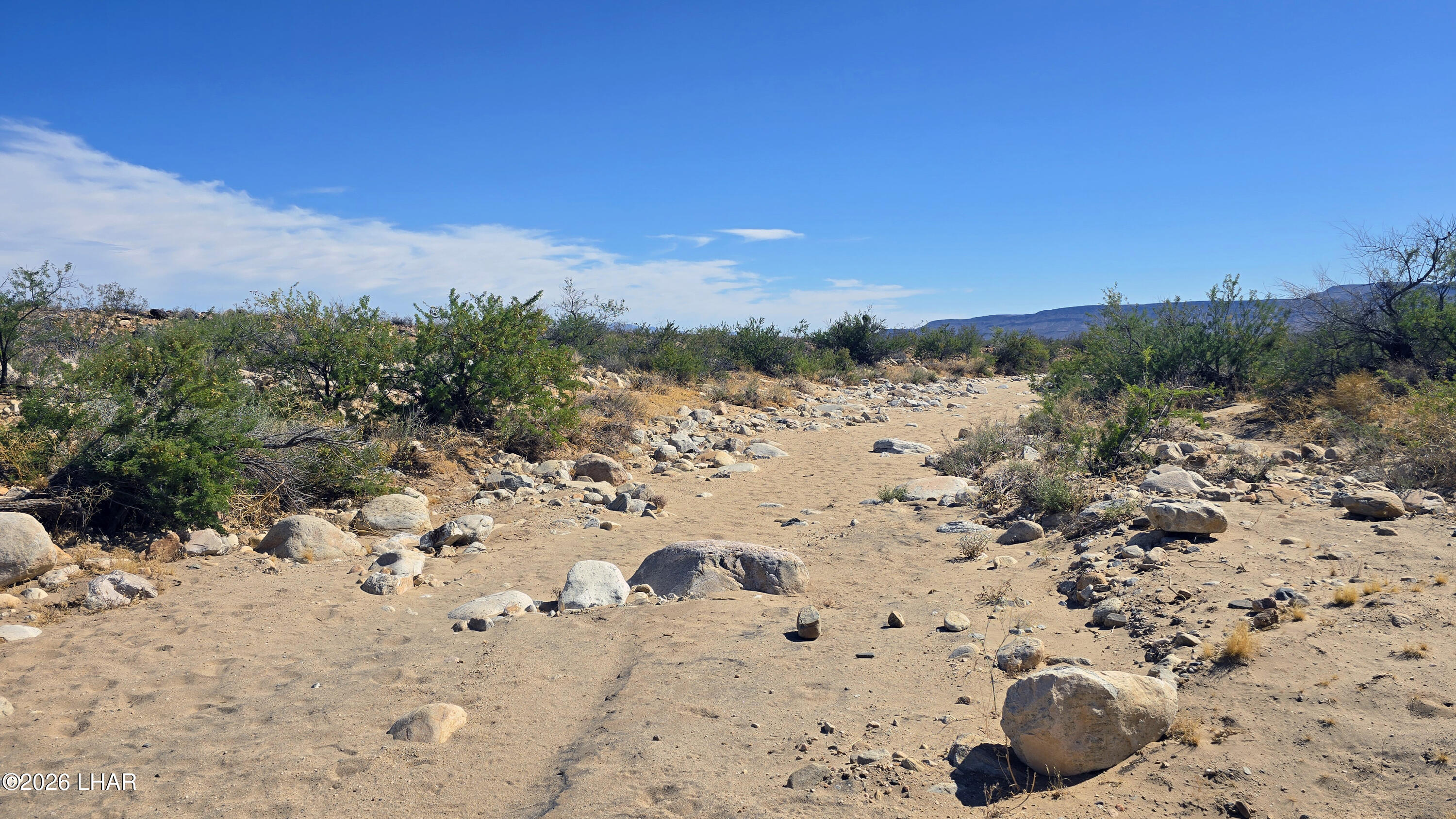 208-21-374 Lorton Road Yucca, AZ 86438 - Photo 11 of 33