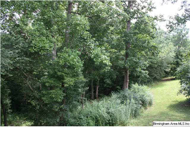 11315 Cragford Road Cragford, AL 36255 - Photo 24 of 32