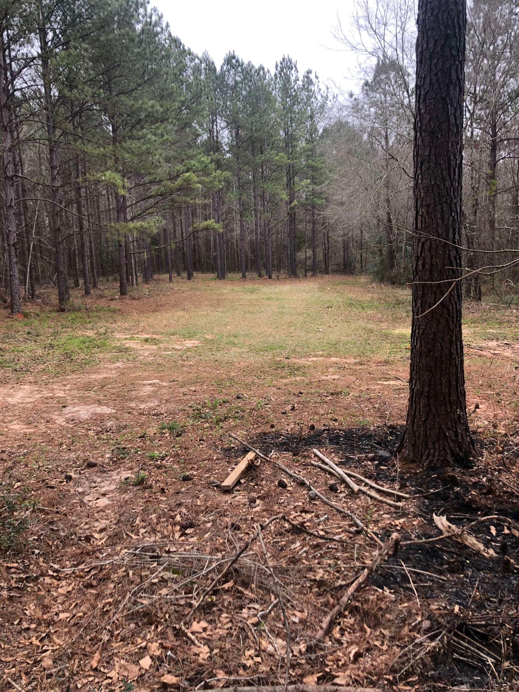 23414 Shreve Road Andalusia, AL 36421 - Photo 1 of 6 Gallery Image 1