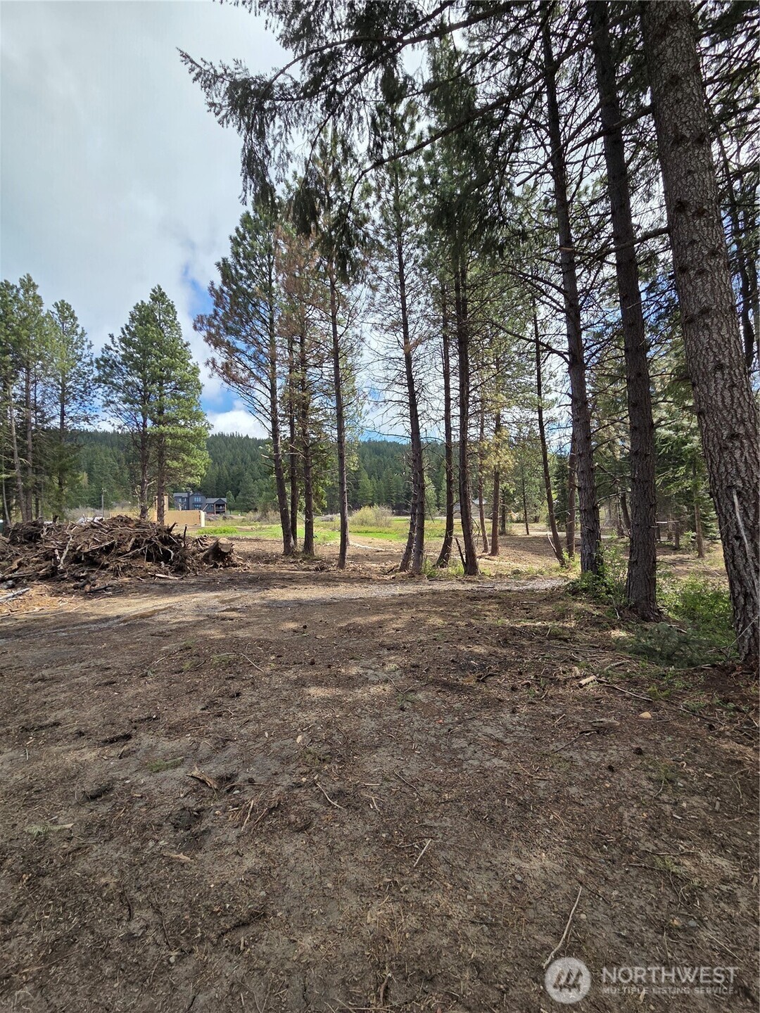 3 Double O Road Ronald, WA 98940 - Photo 5 of 17