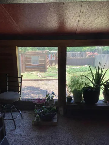 a room with furniture and a potted plant