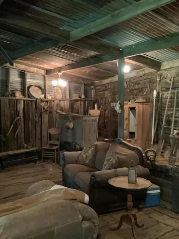 a view of a park with large trees