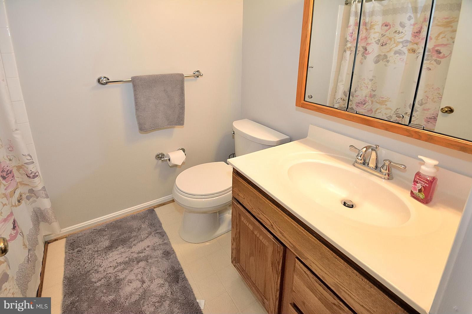 11626 Ayreshire Road Oakton, VA 22124 - Photo 17 of 26 Upper Hall Bath