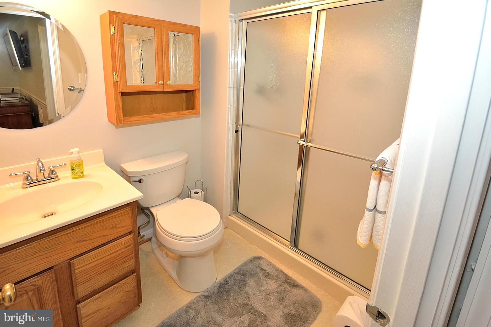 11626 Ayreshire Road Oakton, VA 22124 - Photo 19 of 26 Lower Level Full Bath