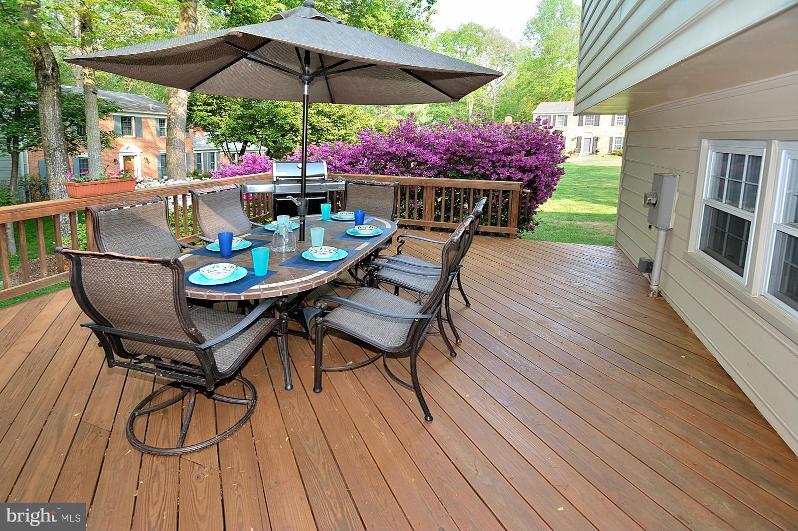 11626 Ayreshire Road Oakton, VA 22124 - Photo 23 of 26 Perfect for Entertaining!