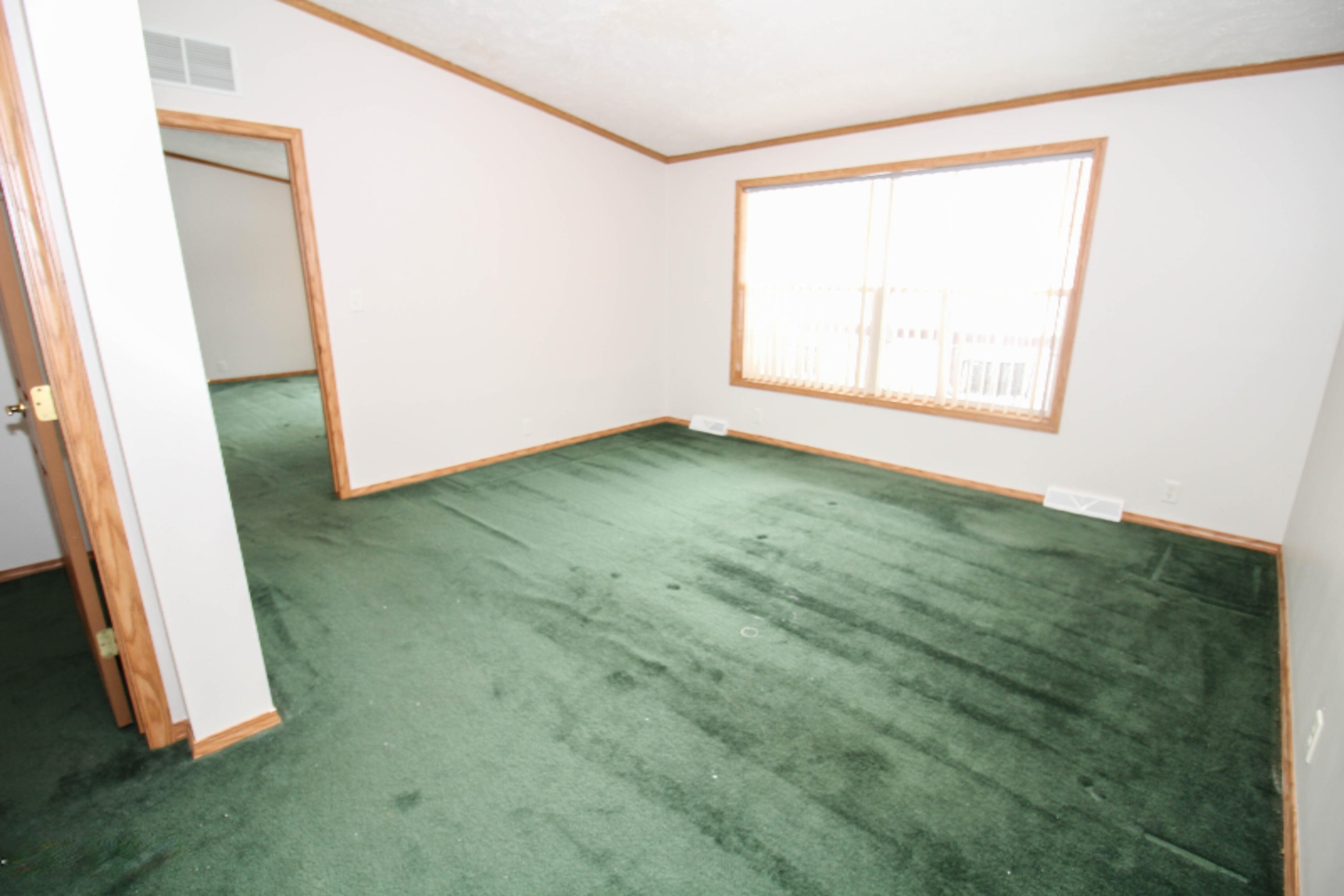 801 Raisin River Road Three Rivers, MI 49093 - Photo 13 of 20 untitled (12 of 19)