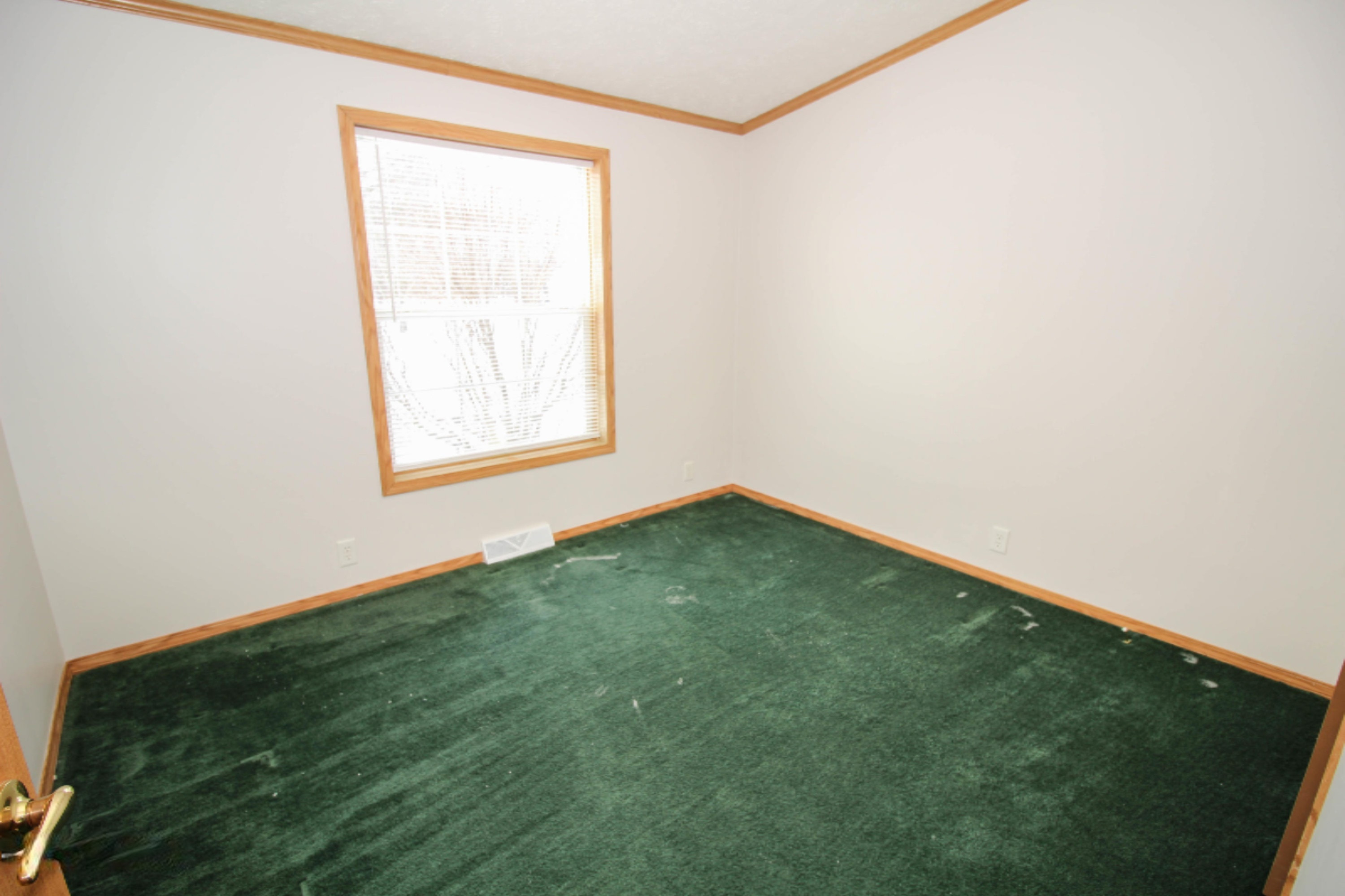 801 Raisin River Road Three Rivers, MI 49093 - Photo 17 of 20 untitled (16 of 19)