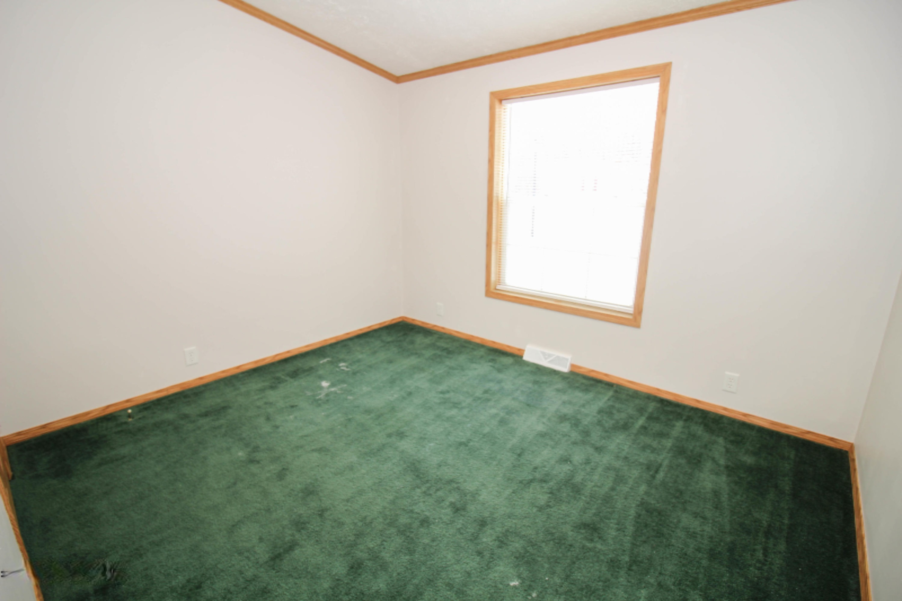 801 Raisin River Road Three Rivers, MI 49093 - Photo 18 of 20 untitled (17 of 19)