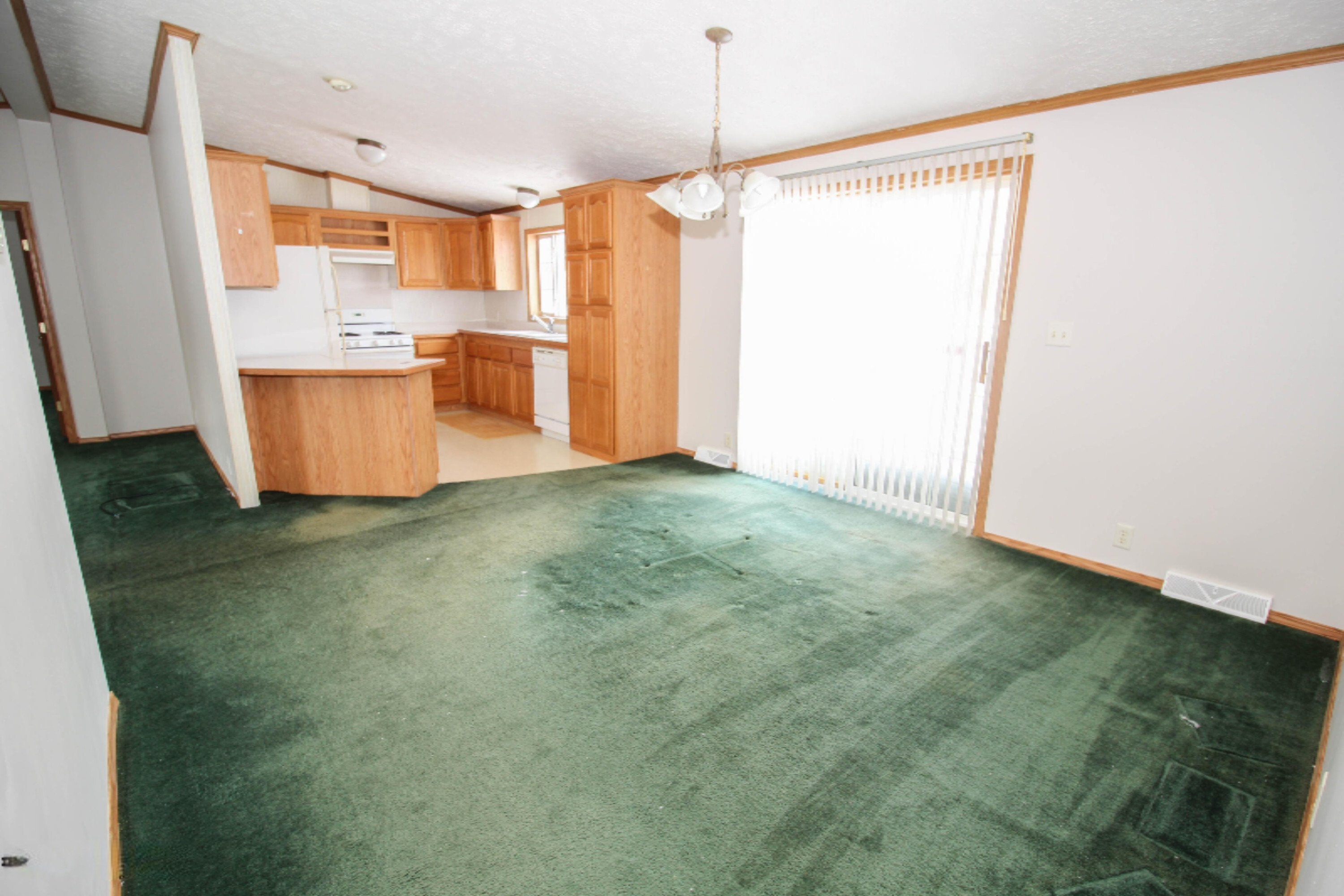 801 Raisin River Road Three Rivers, MI 49093 - Photo 6 of 20 untitled (5 of 19)