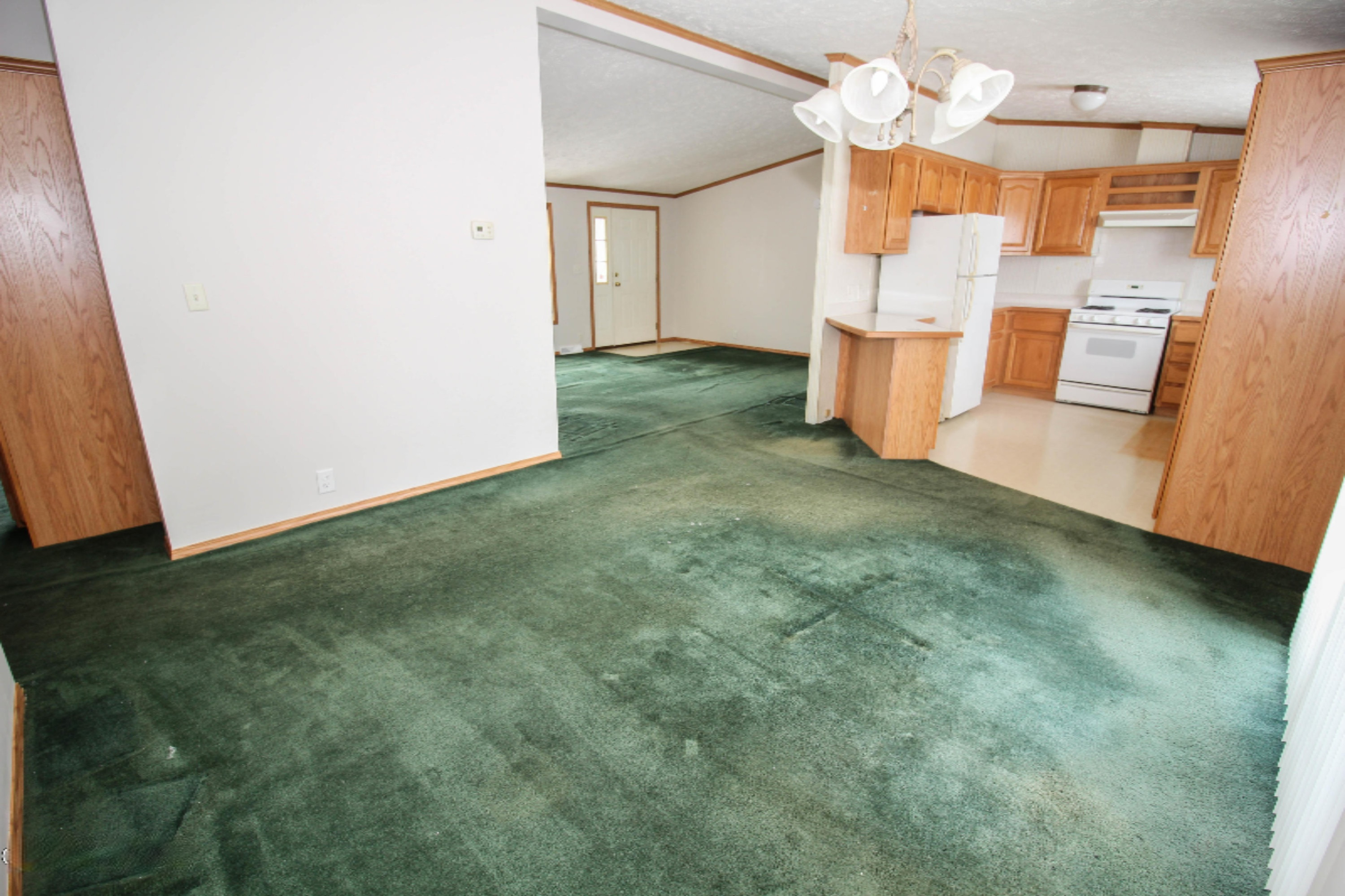 801 Raisin River Road Three Rivers, MI 49093 - Photo 7 of 20 untitled (6 of 19)