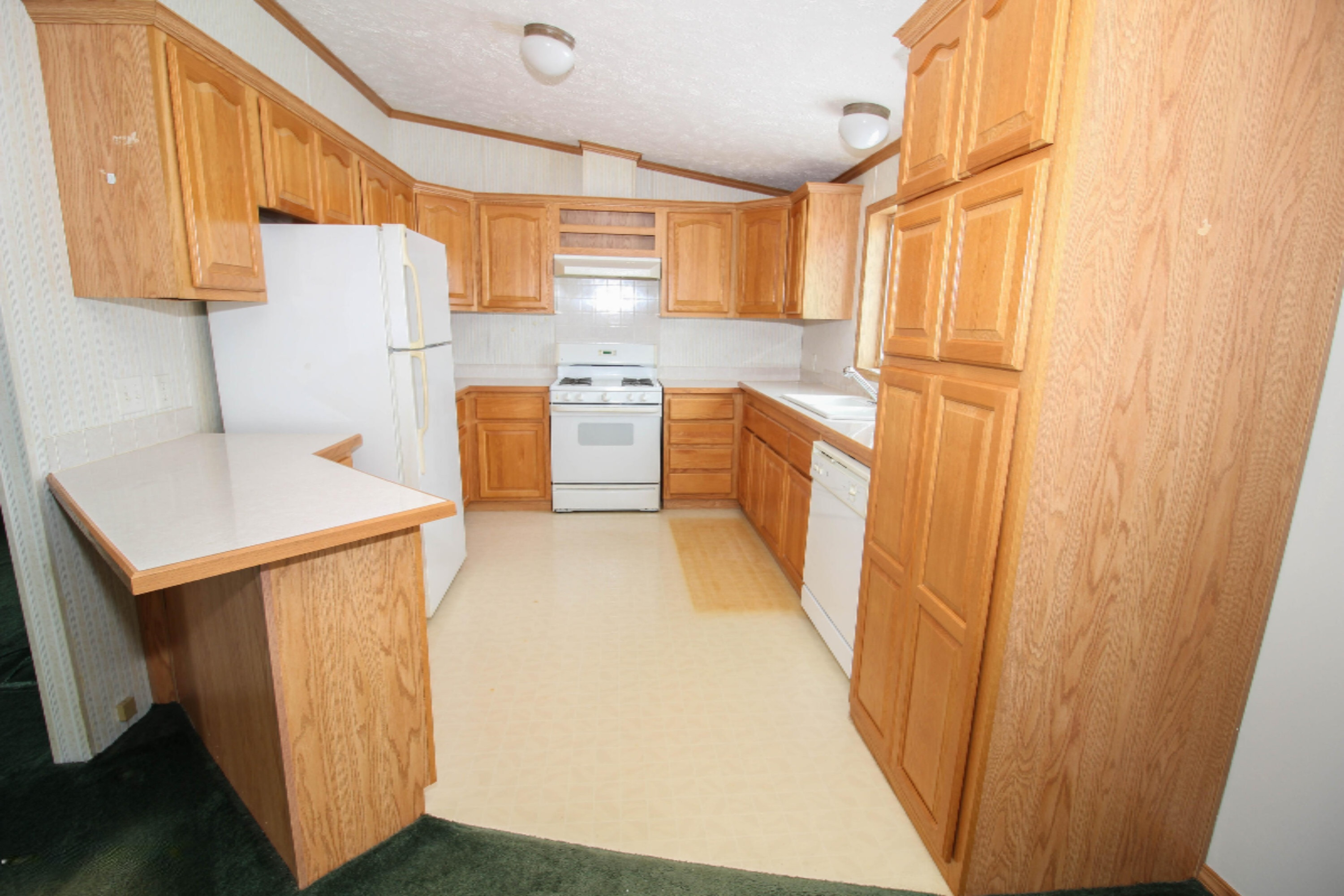801 Raisin River Road Three Rivers, MI 49093 - Photo 8 of 20 untitled (7 of 19)