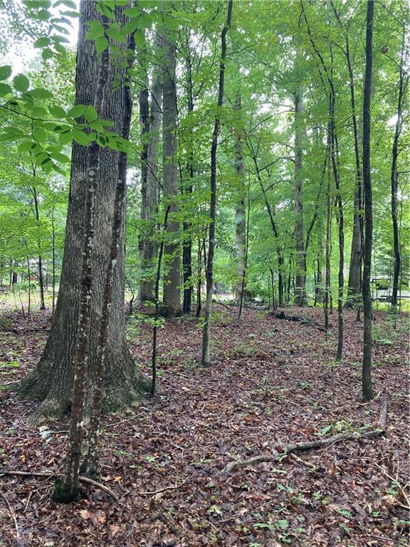 1405 Mack Road Asheboro, NC 27205 - Photo 3 of 8 Gallery Image 3