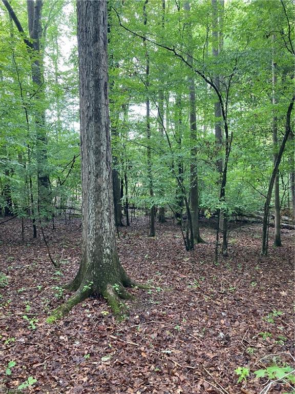 1405 Mack Road Asheboro, NC 27205 - Photo 5 of 8 Gallery Image 5