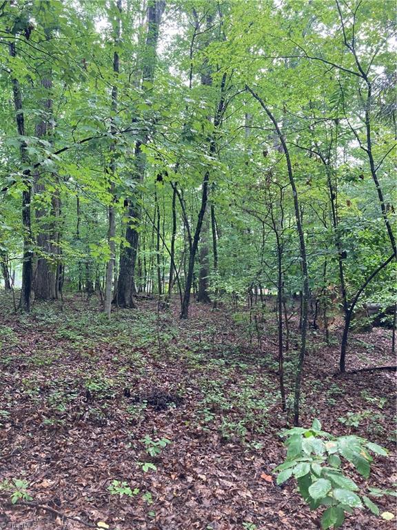 1405 Mack Road Asheboro, NC 27205 - Photo 6 of 8 Gallery Image 6