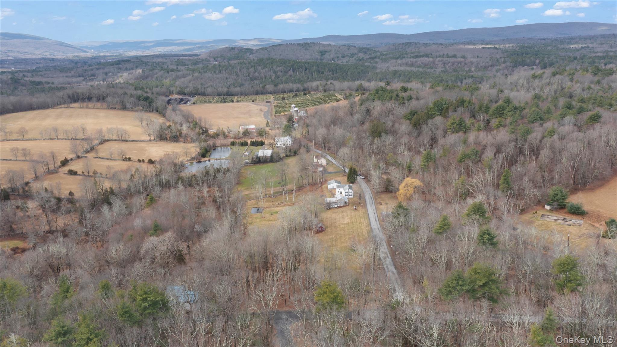 700 Mettacahonts Road Accord, NY 12404 - Photo 27 of 47 a view of a lake in middle of the field