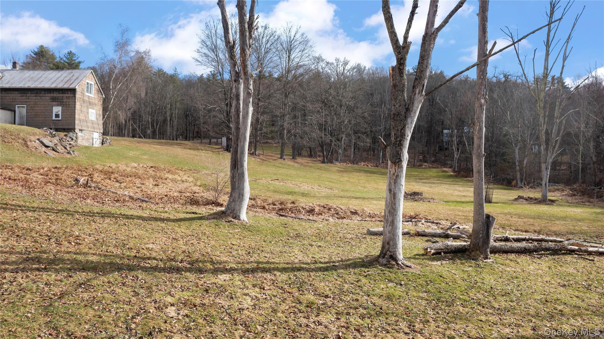 700 Mettacahonts Road Accord, NY 12404 - Photo 30 of 47 a view of a backyard