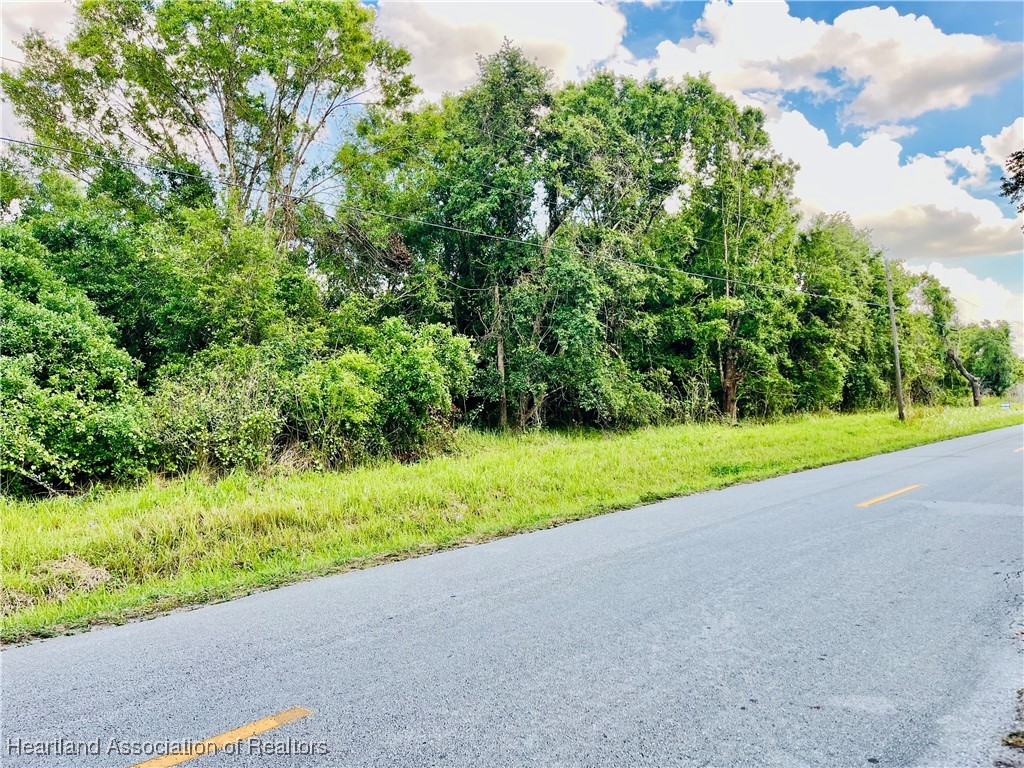 1291 Manley Road Wauchula, FL 33873 - Photo 3 of 9