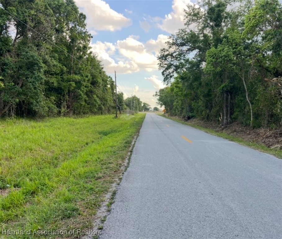 1291 Manley Road Wauchula, FL 33873 - Photo 4 of 9