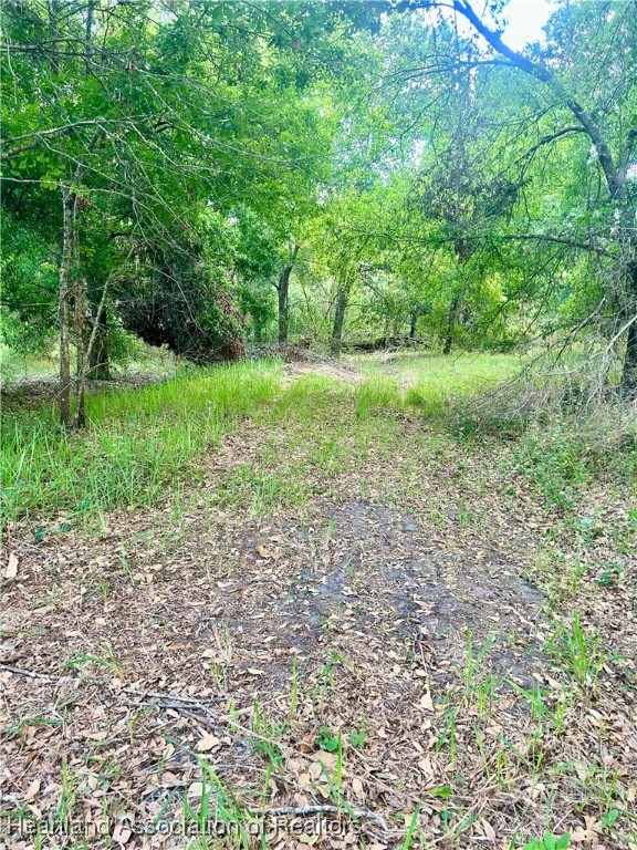 1291 Manley Road Wauchula, FL 33873 - Photo 8 of 9