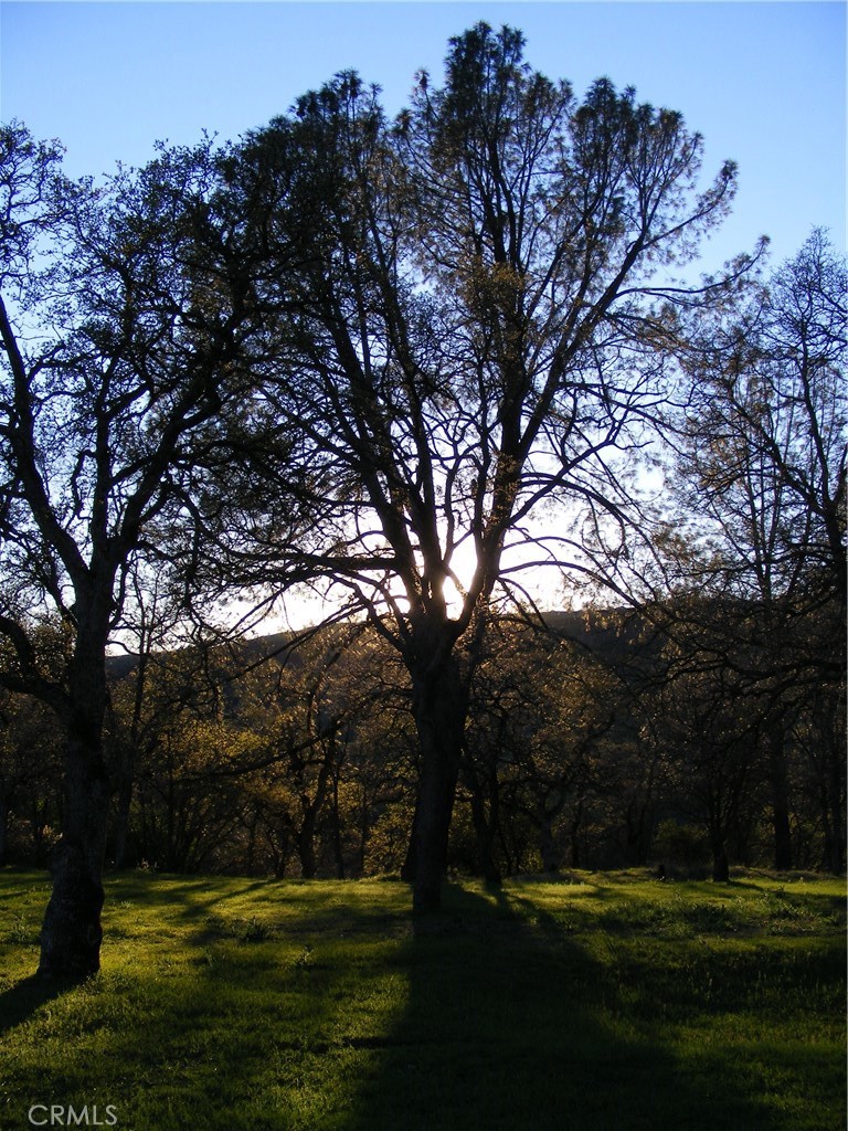 1985 Flatiron Road Chico, CA 95928 - Photo 7 of 67