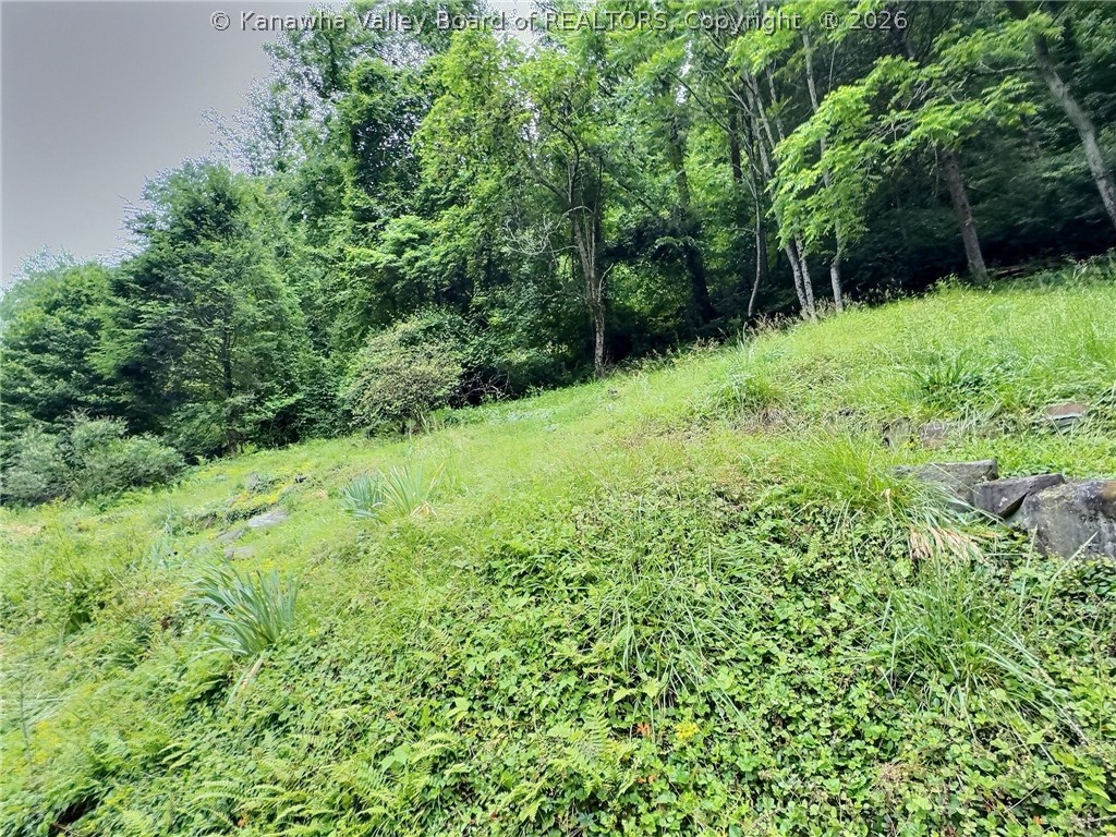 729 Chappell Road Charleston, WV 25304 - Photo 6 of 23 Back hillside