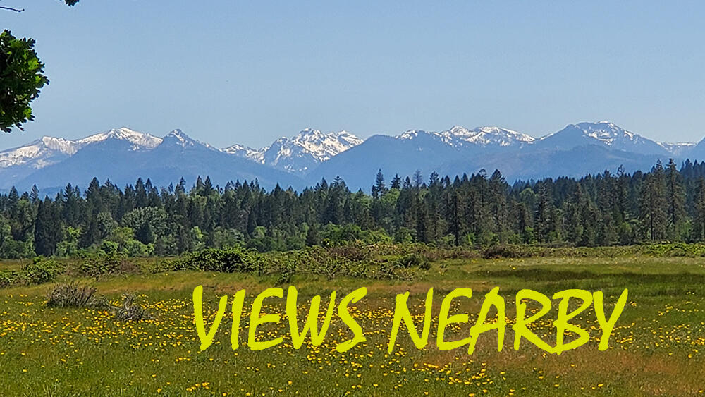 6016-6110 West Side Road Cave Junction, OR 97523 - Photo 63 of 67 z4 Snow Capped Mtns in Distance NOT the