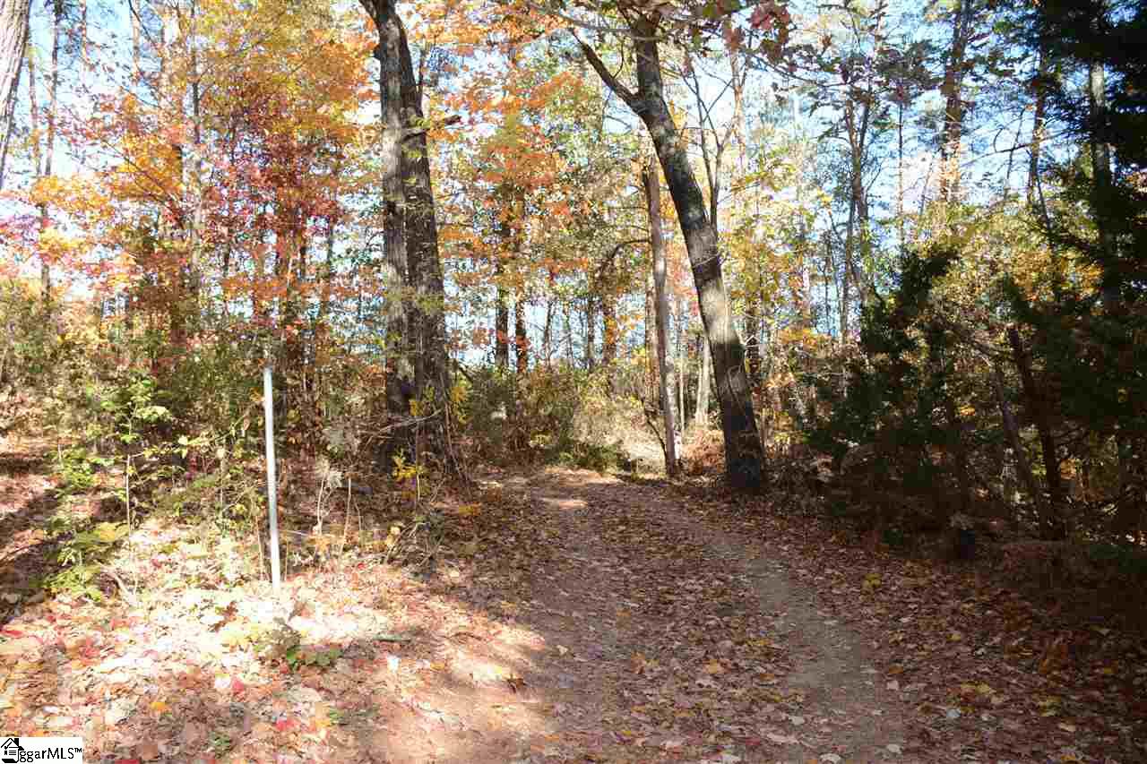 55 Tanner Road Taylors, SC 29687 - Photo 8 of 33 Gallery Image 8