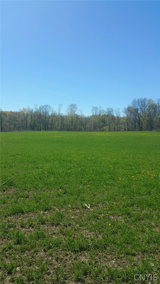 5751 Jordan Road Elbridge, NY 13080 - Photo 1 of 1