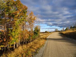 14 Silvertail Road Chester, NY 10918 - Photo 1 of 1 Gallery Image 1