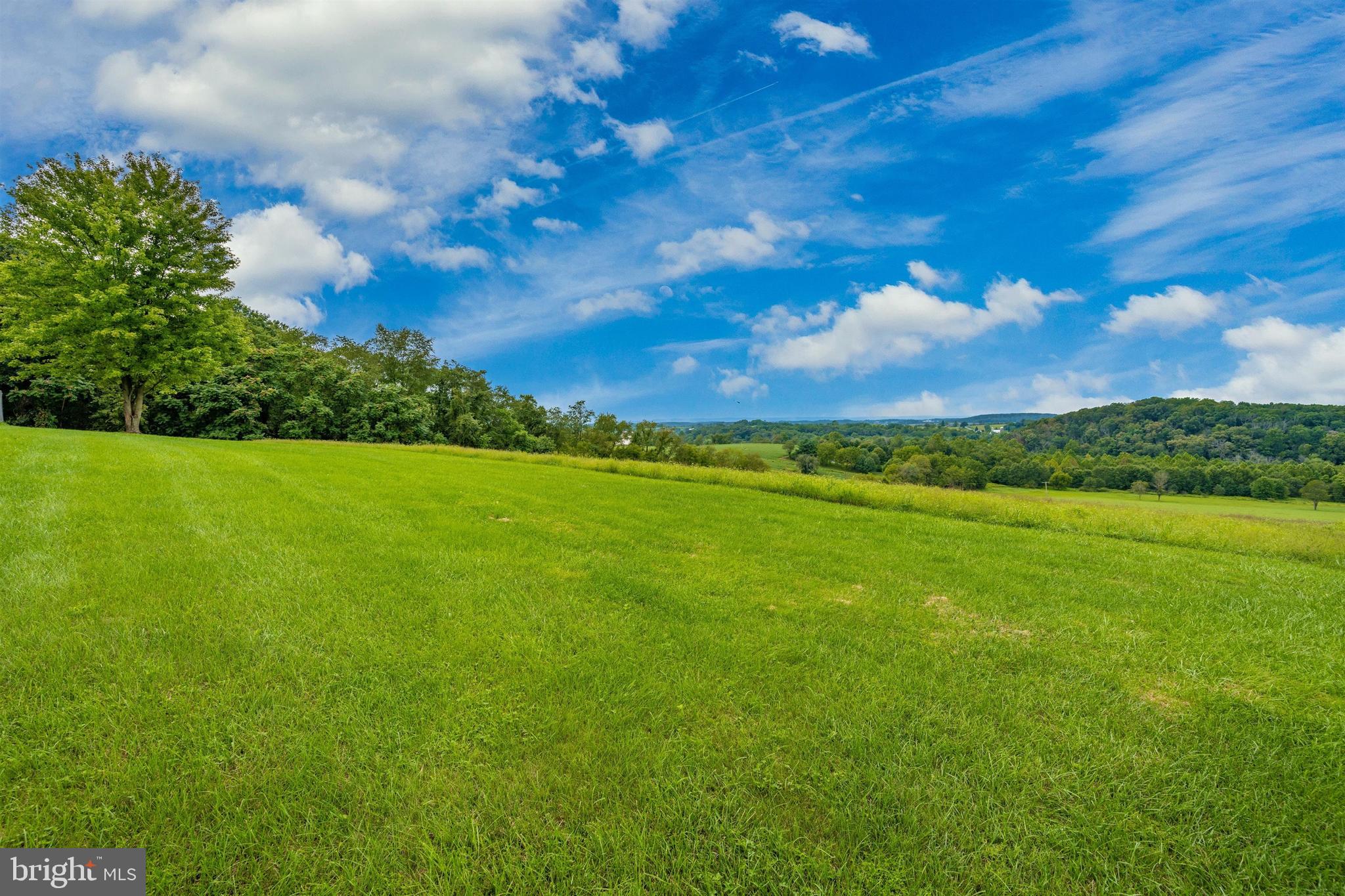 7748 Emerson Burrier Road Mount Airy, MD 21771 - Photo 30 of 92