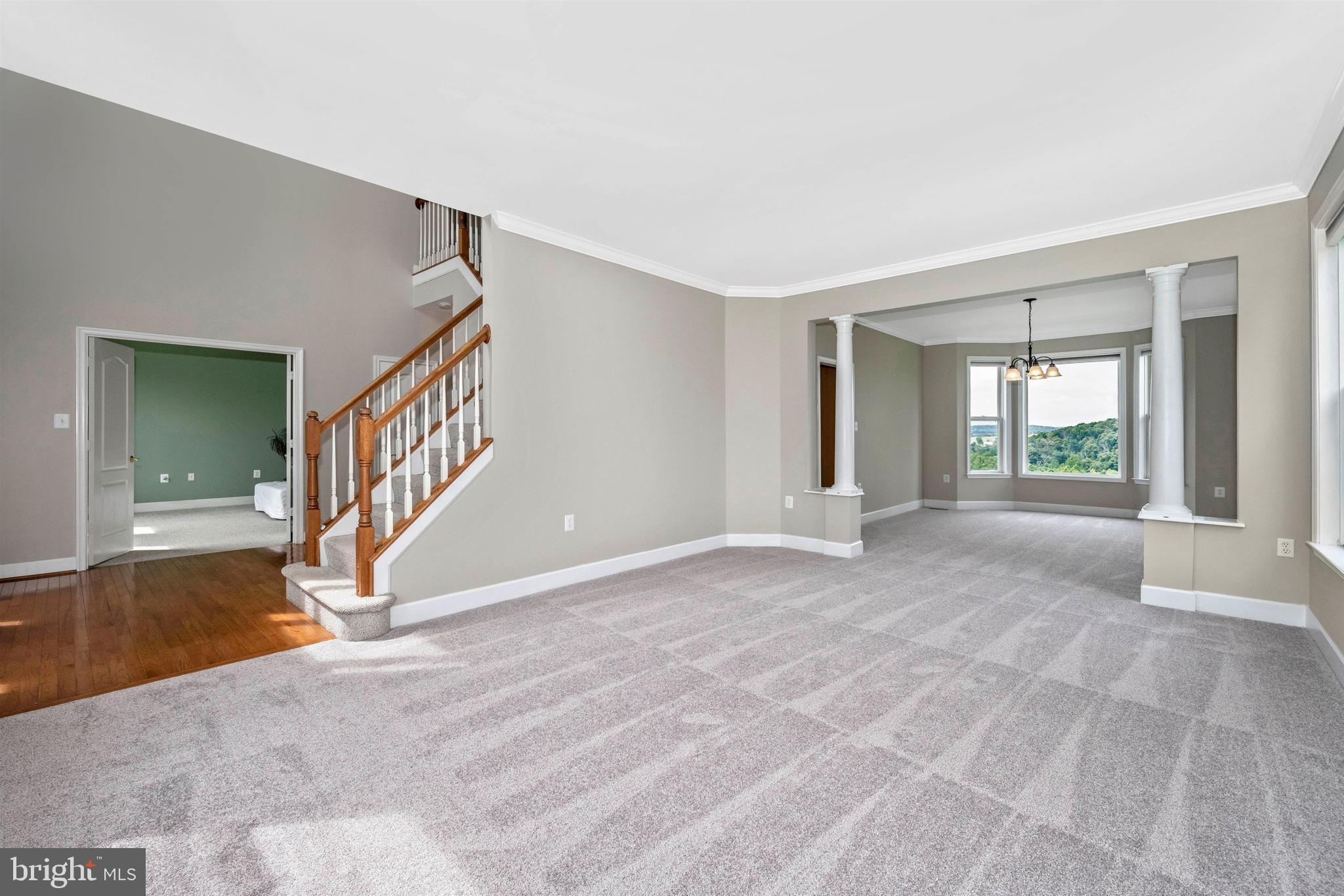 7748 Emerson Burrier Road Mount Airy, MD 21771 - Photo 46 of 92 Living Room