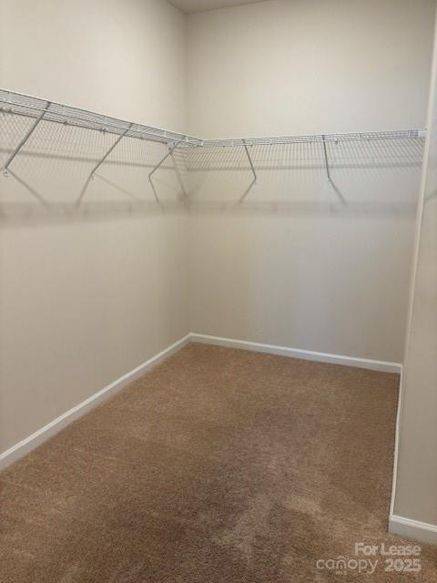 7136 Maple Run Circle Charlotte, NC 28215 - Photo 7 of 39 a view of a room with racks on the wall