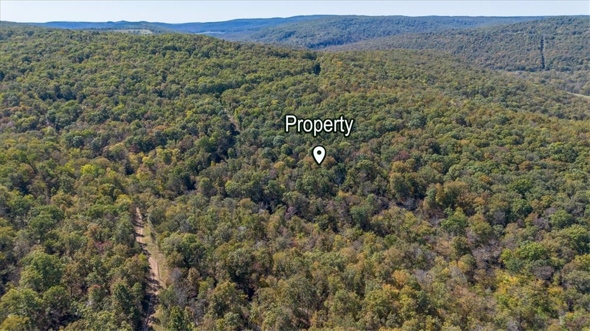 Tbd Pierson Road West Fork, AR 72774 - Photo 12 of 30 Gallery Image 12