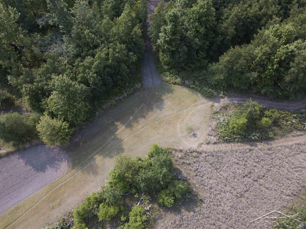 66-acres North Geneva Road Coleman, MI 48618 - Photo 15 of 44 Gallery Image 15