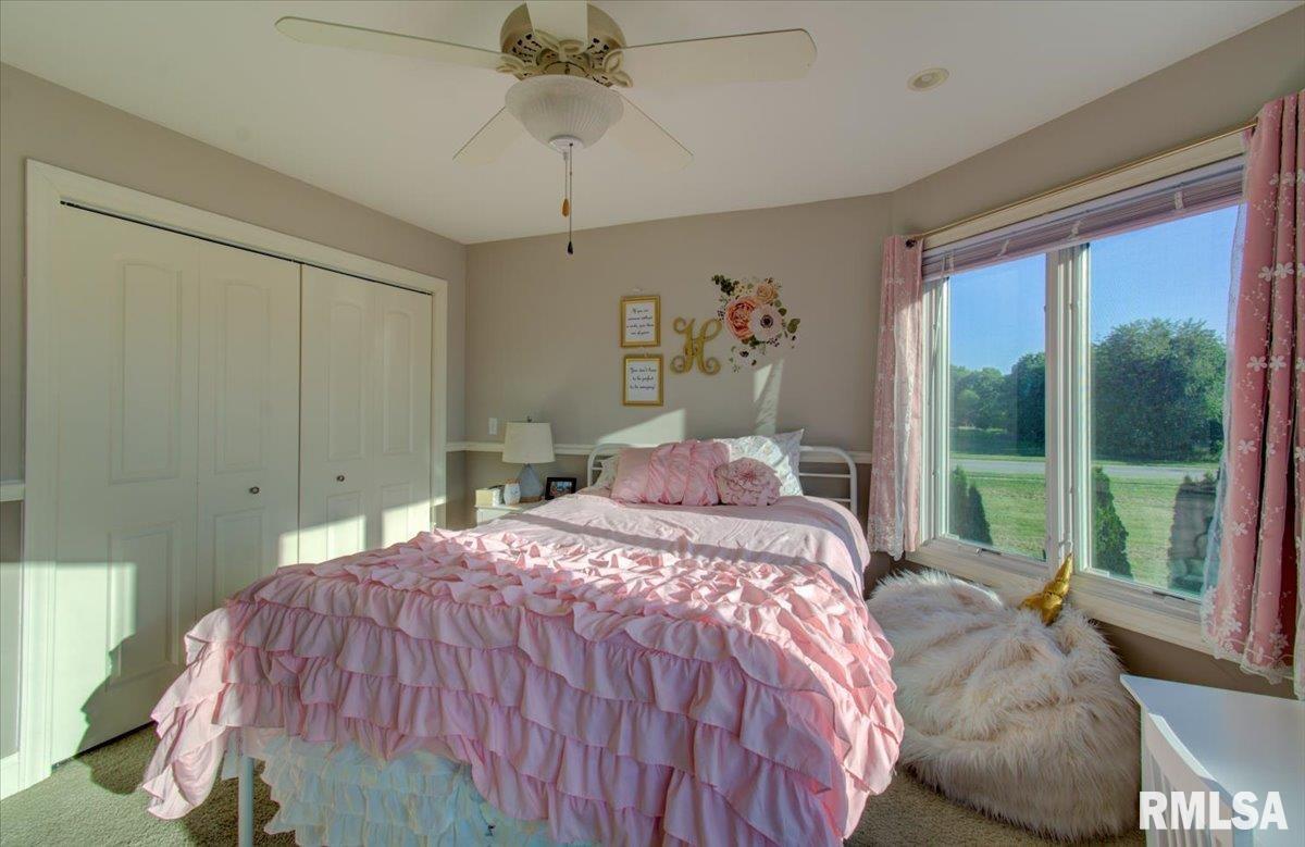 117 Ramblewood Road Chatham, IL 62629 - Photo 32 of 50 Gallery Image 32