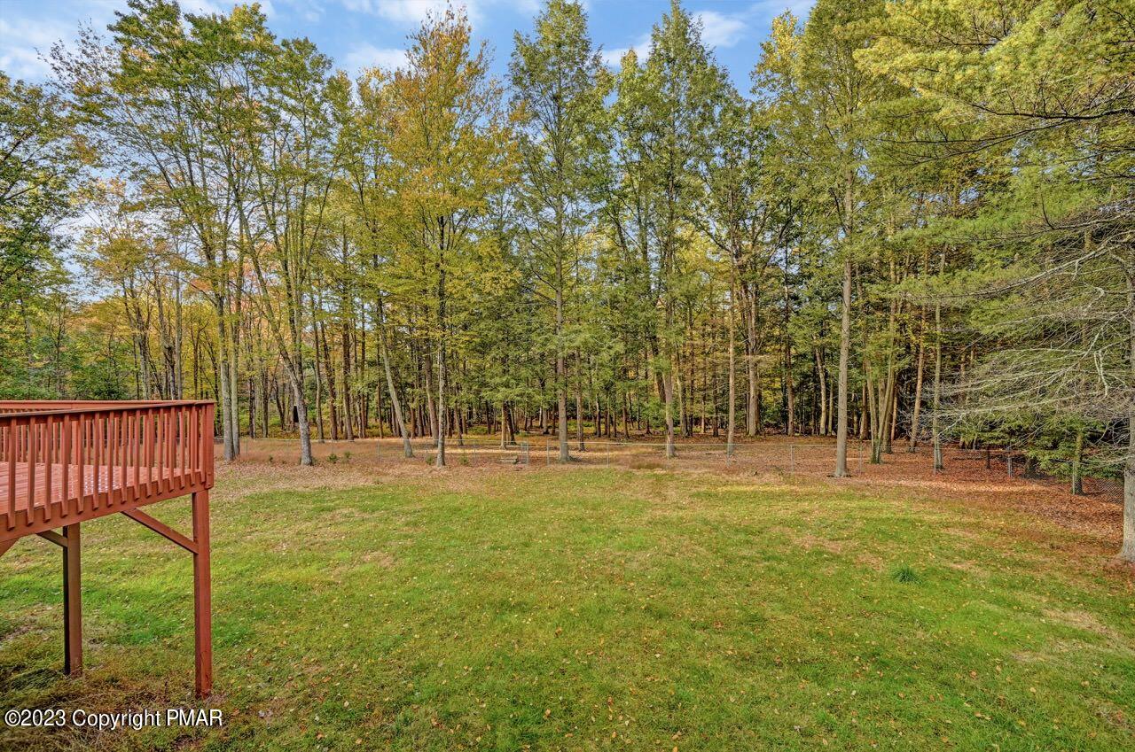 185 Livingston Road Stroudsburg, PA 18360 - Photo 62 of 74 Backyard