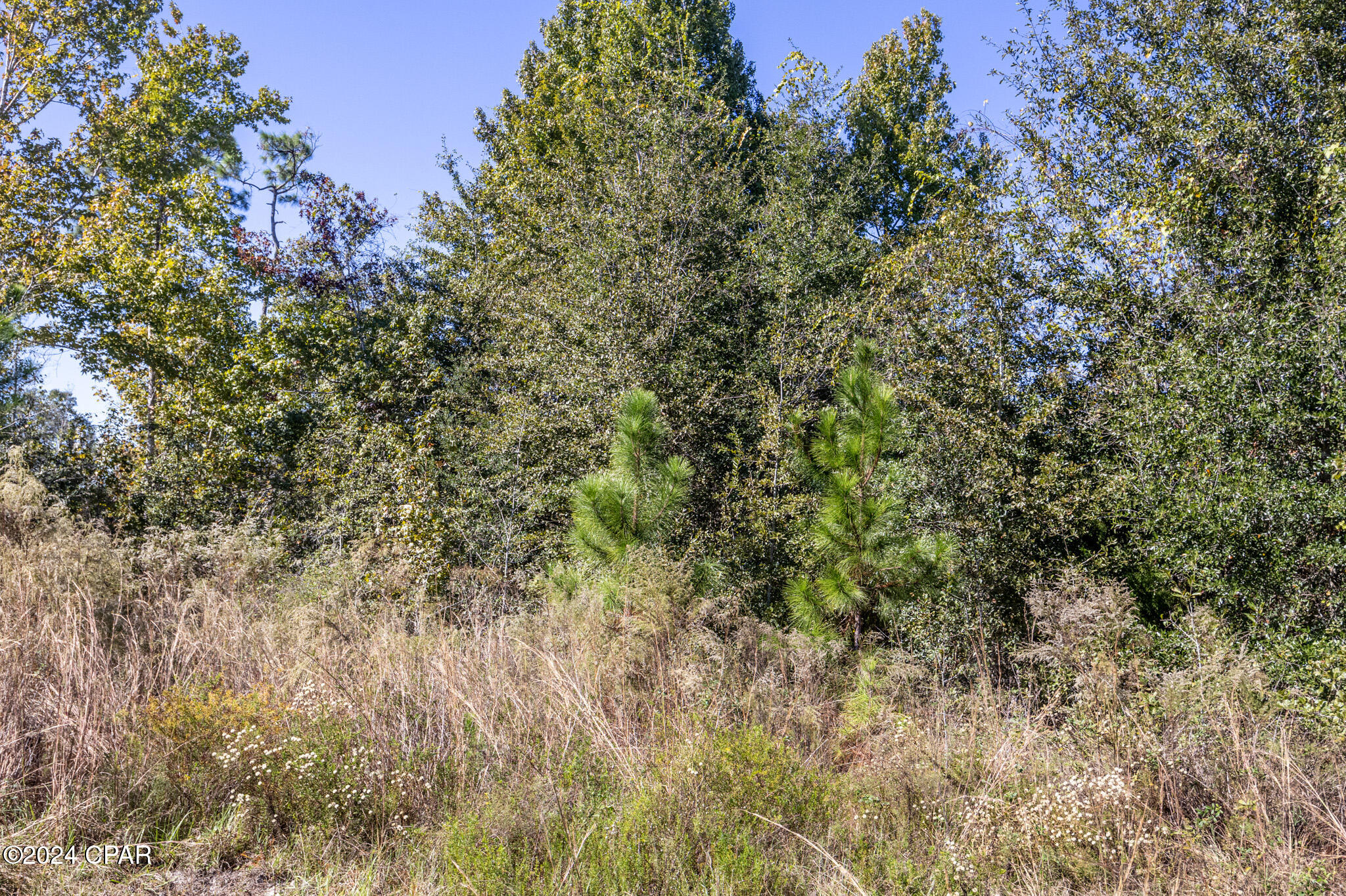 3706 Deer Run Road Panama City, FL 32409 - Photo 4 of 8 Gallery Image 4