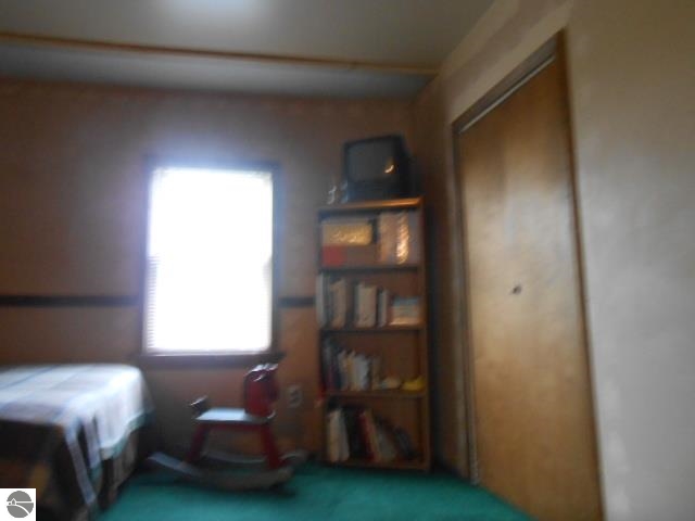 4650 East Baseline Road Mount Pleasant, MI 48858 - Photo 29 of 34 1784167-28.JPG