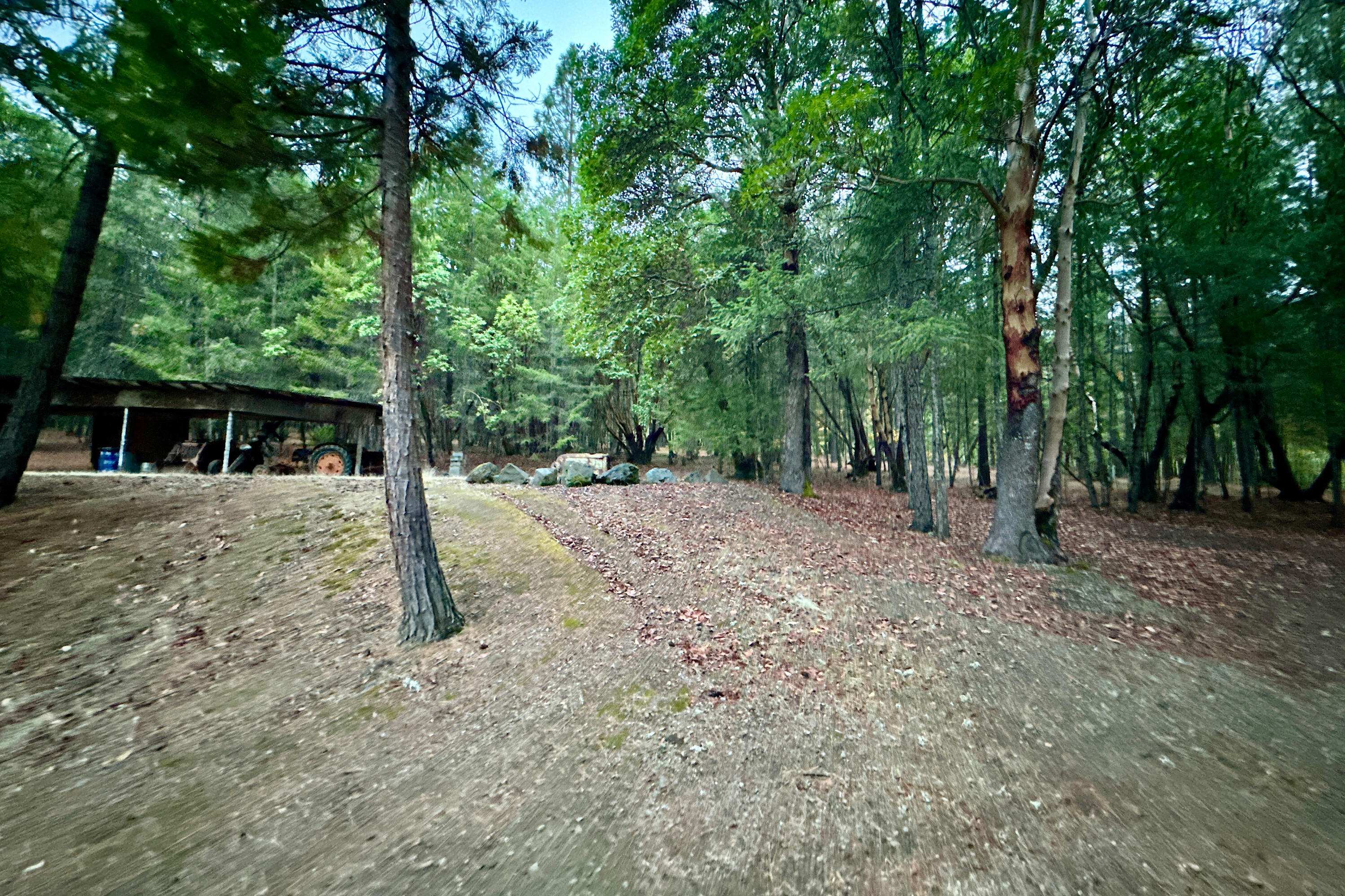 1969 Holcomb Springs Road Gold Hill, OR 97525 - Photo 43 of 46 IMG_0409