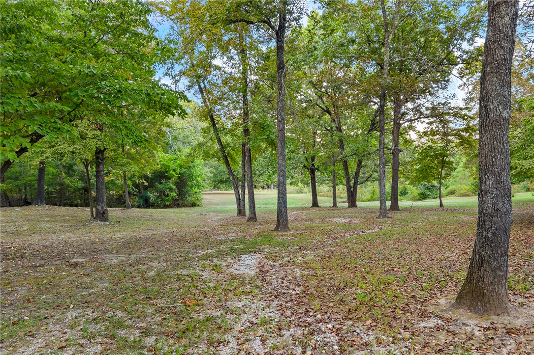 1369 Julius Drive Harrison, AR 72601 - Photo 50 of 59 Gallery Image 50
