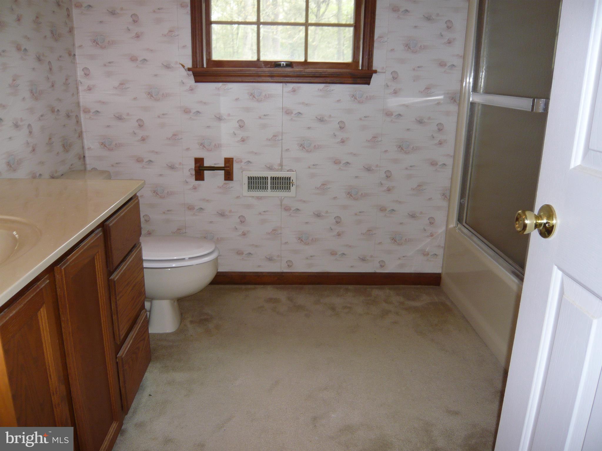 3440 St Lukes Road Salisbury, MD 21804 - Photo 16 of 19 Bathroom 2