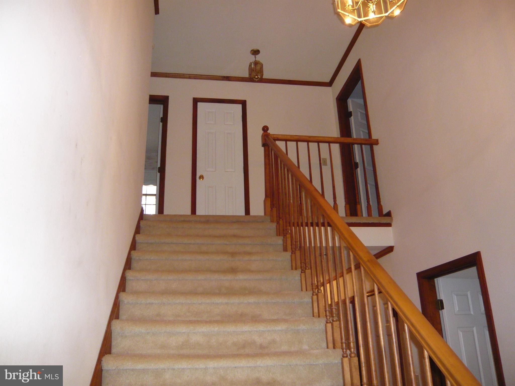 3440 St Lukes Road Salisbury, MD 21804 - Photo 9 of 19 Stairway