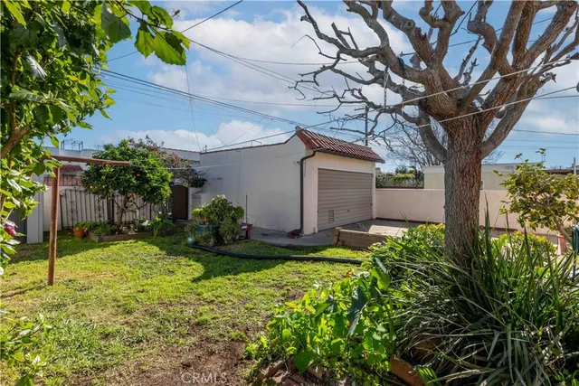 a backyard of a house with plants and large tree