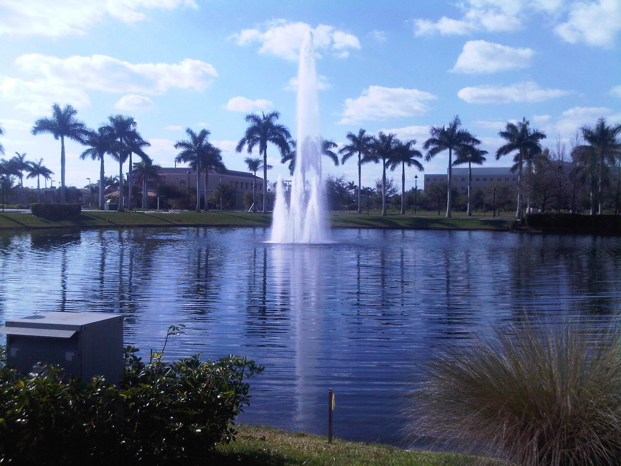 8317 Northwest 8th Terrace Boca Raton, FL 33487 - Photo 12 of 12 fountain
