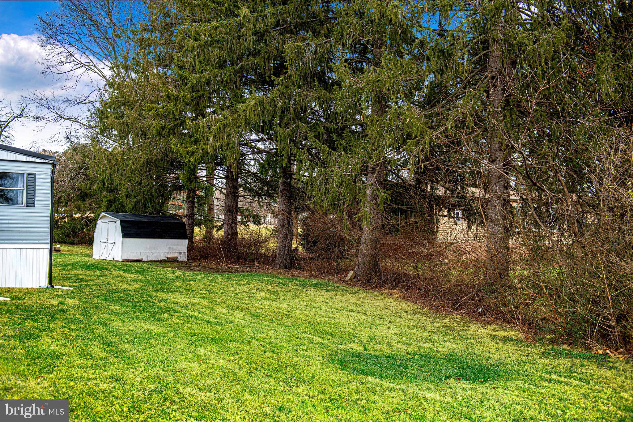 3471 Fallston Road Fallston, MD 21047 - Photo 33 of 33 Lush green yard framed by towering trees.