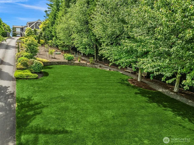 a view of yard with green space