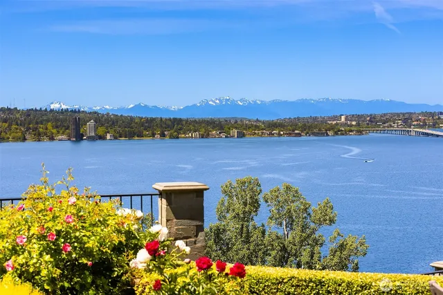a view of a lake with a mountain view