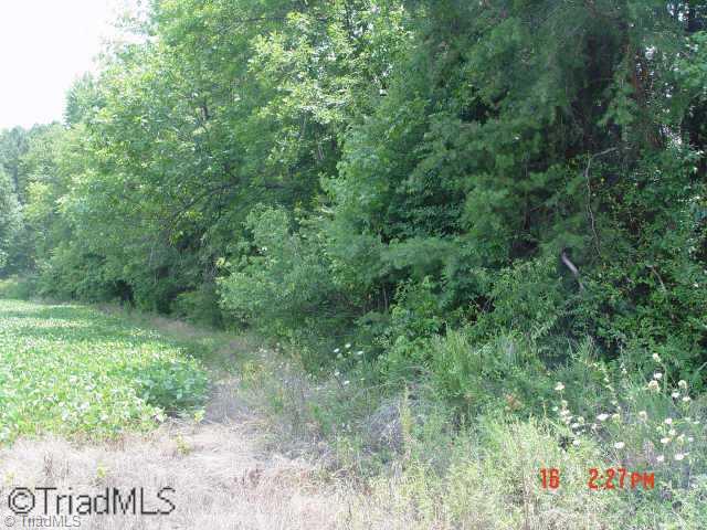 7124 Ludgate Road Gibsonville, NC 27249 - Photo 3 of 8 Other. Glen Oaks Lot 29